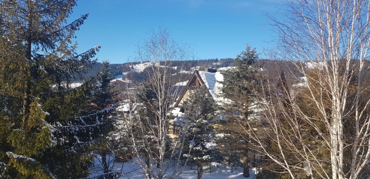Local 21A Villa Закопане Екстериор снимка